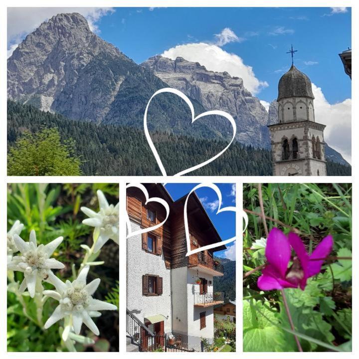 Dolomiti Ferienwohnung, Vacanze. San Pietro di Cadore