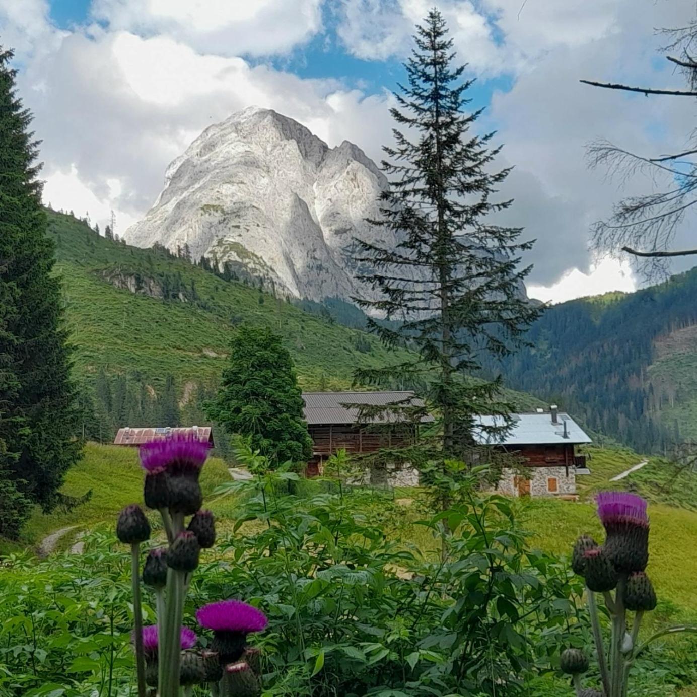 Dolomiti Ferienwohnung, Vacanze. Apartment San Pietro di Cadore