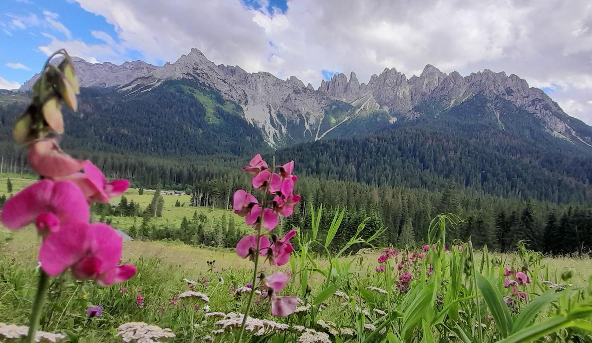 Dolomiti Ferienwohnung, Vacanze.